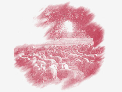 Queijaria Monte Cegarrega Queijaria Monte Cegarrega